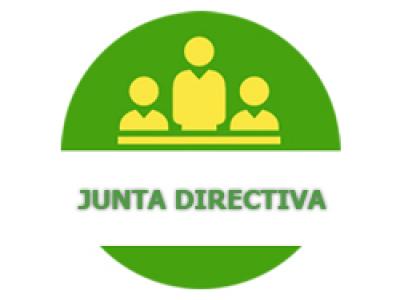 Junta Directiva