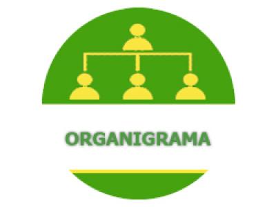 Organigrama